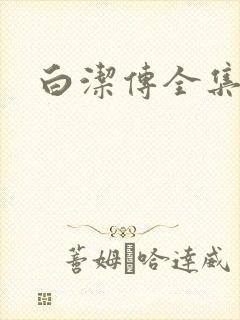 白洁传全集封面