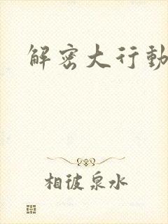 解密大行动