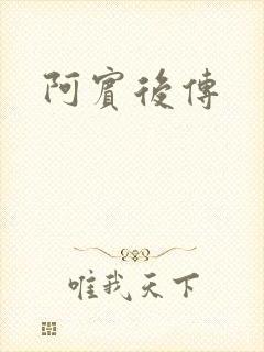 阿宾后传