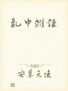 乱中杂录