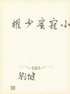 权少蜜宠小娇妻
