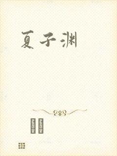 夏子渊封面
