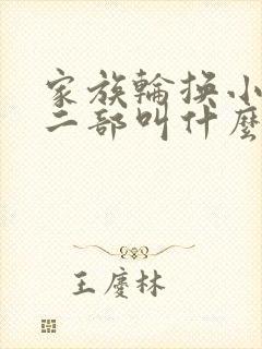 家族轮换小说第二部叫什么名字