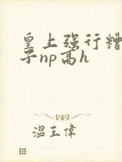 皇上强行糟蹋太子np高h