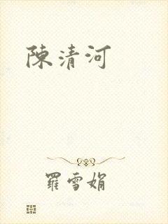 陈清河封面