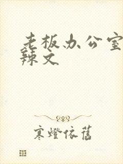 老板办公室系列辣文封面
