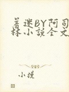 着迷BY阿司匹林小说全文免费阅读封面