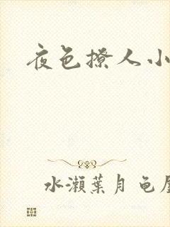 夜色撩人小说
