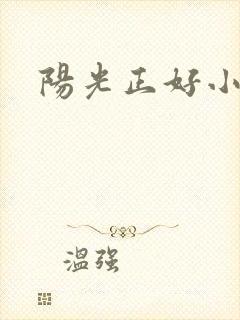 阳光正好小说