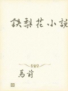 铁梨花小说