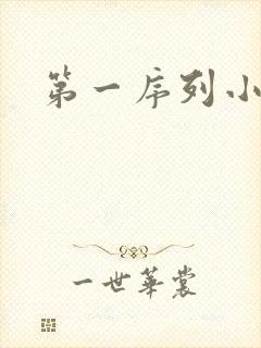 第一序列小说