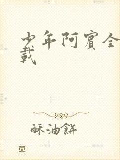 少年阿宾全集下载