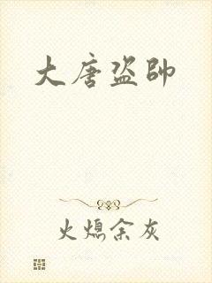 大唐盗帅封面