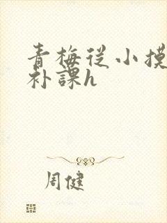 青梅从小摸到大补课h