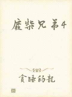 废柴兄弟4封面