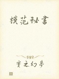 模范秘书封面