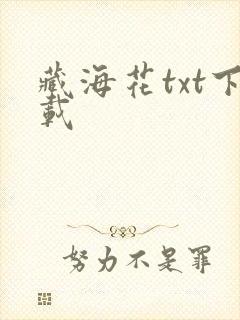 藏海花txt下载