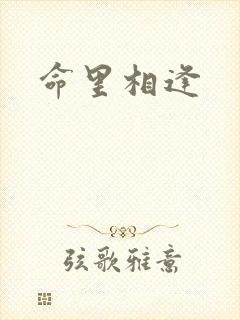 命里相逢封面