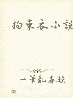 拘束衣小说封面