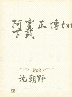 阿宾正传txt下载