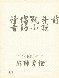 情侣战斗前适合看的小说封面