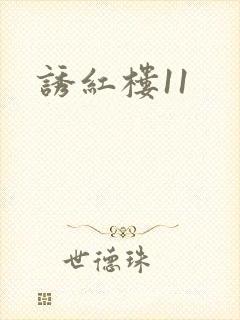 诱红楼11
