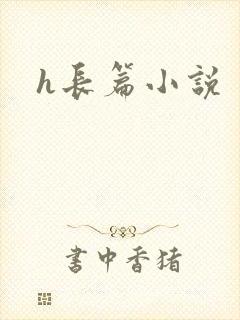 h长篇小说