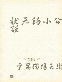状元的小公主小说封面