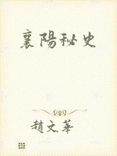 襄阳秘史封面