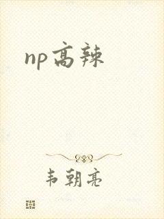 np高辣