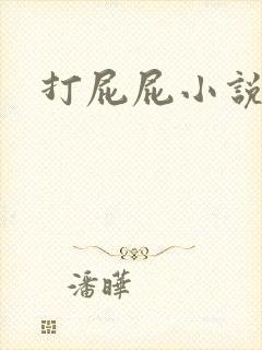 打屁屁小说