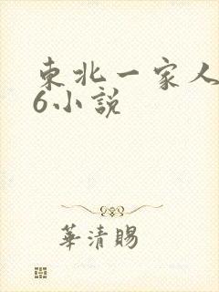 东北一家人1一6小说封面