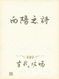 向阳之诗封面