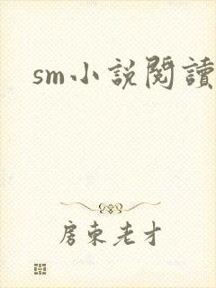 sm小说阅读