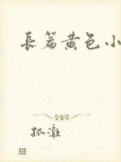长篇黄色小说