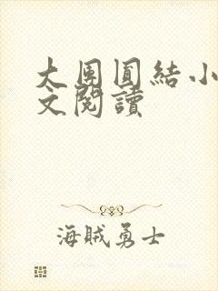 大团圆结小茹全文阅读