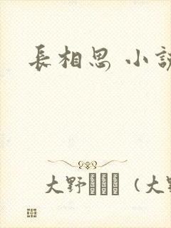 长相思 小说