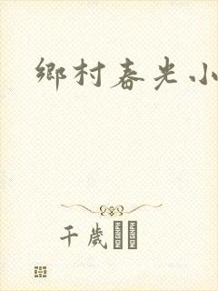 乡村春光小说