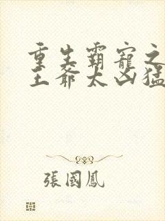 重生霸宠之摄政王爷太凶猛