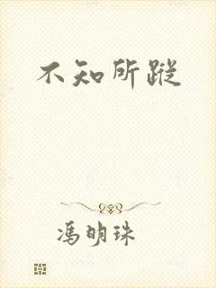 不知所踪封面