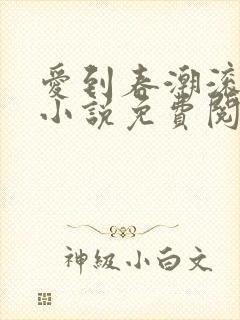 爱到春潮滚滚来小说免费阅读