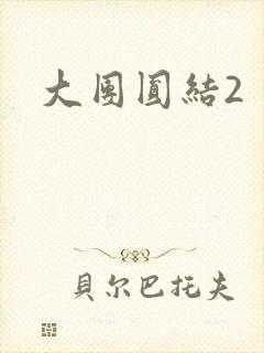 大团圆结2封面