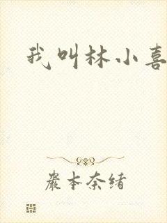 我叫林小喜17