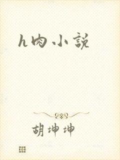 h肉小说