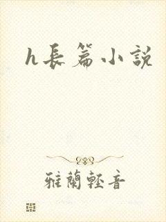 h长篇小说