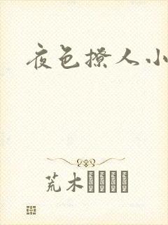 夜色撩人小说