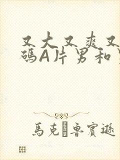 又大又爽又黄无码A片男和男