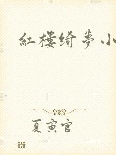 红楼绮梦小说封面