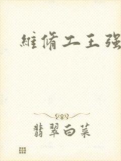 维修工王强张婷封面