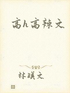 高h高辣文